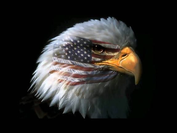 TyMax - American Eagle Logo